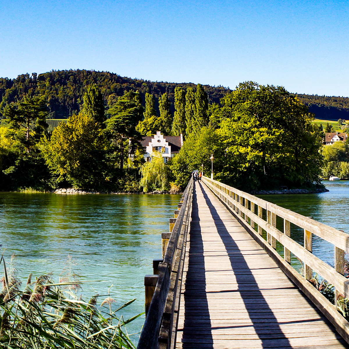 Portrait Philipp Schwarzer